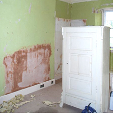 Wallpaper stripping